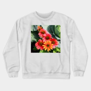 Cheyenne Spirit Echinacea Flowers in the Summer Garden Crewneck Sweatshirt